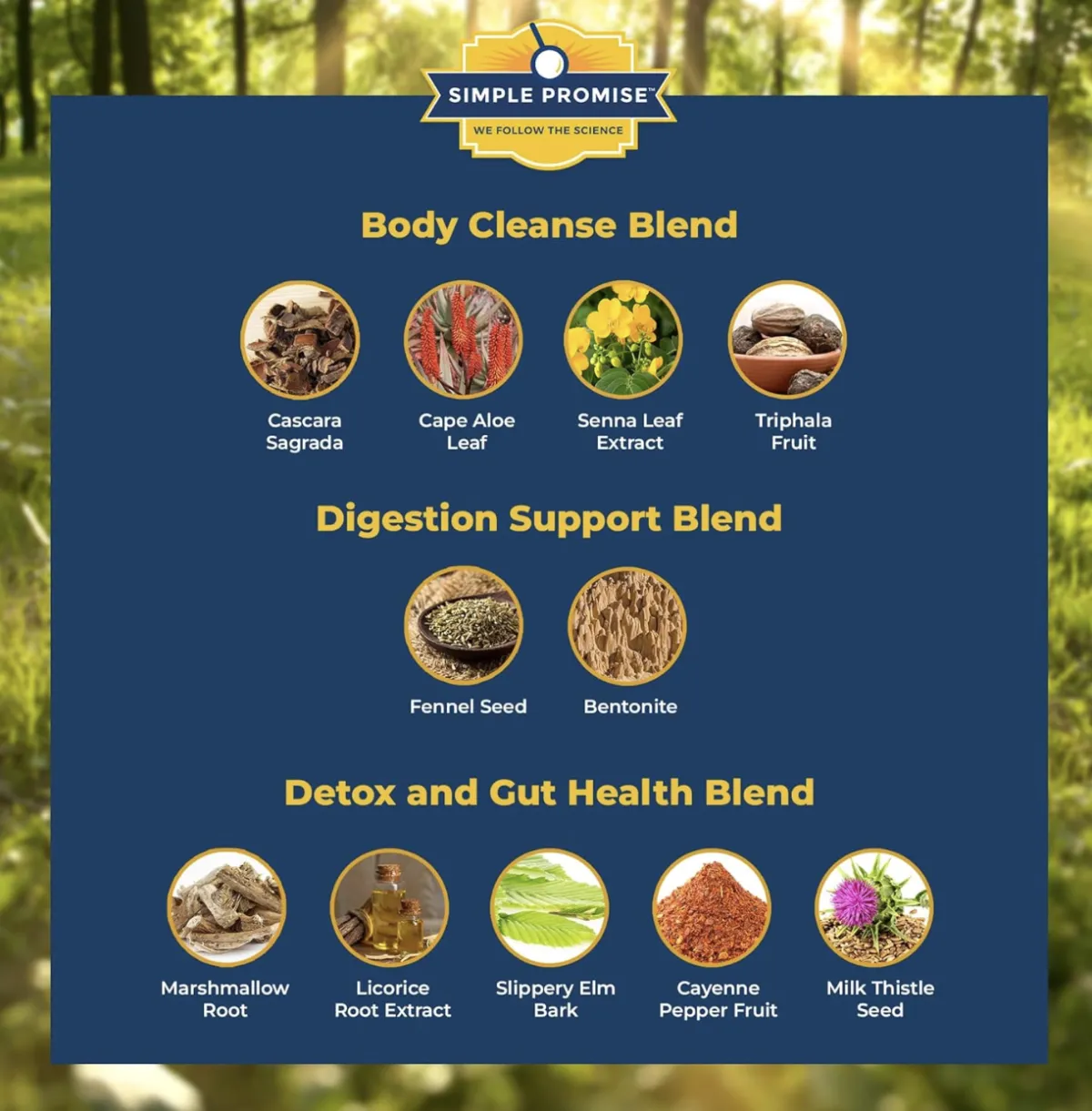 synogut ingredients